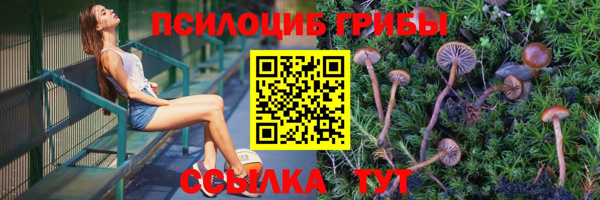 Галлюциногенные грибы Cubensis  Галлюциногенные грибы мицелий  Чита  Вход с VPN 